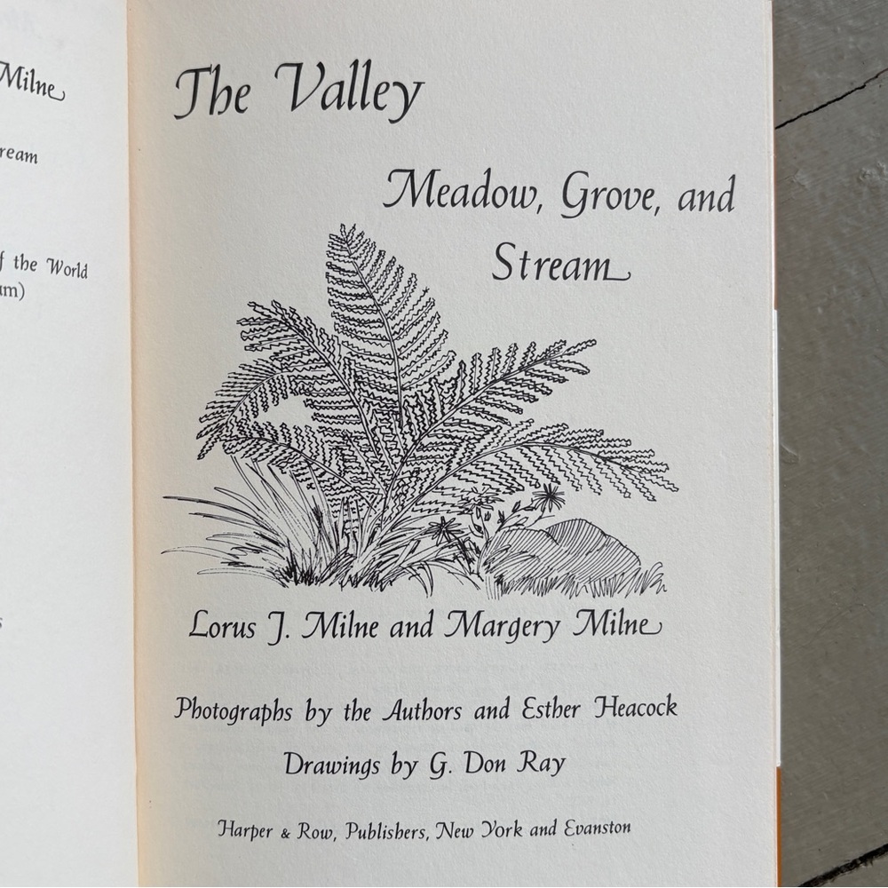 Signed 1963 The Valley Meadow Grove Stream Durham NH Oyster River New Hampshire - Picture 2 of 13